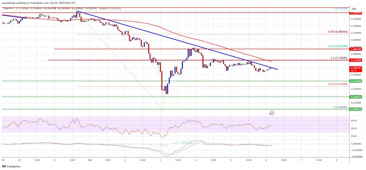 Dogecoin (DOGE) Attempts a Comeback: Can It Clear Resistance?