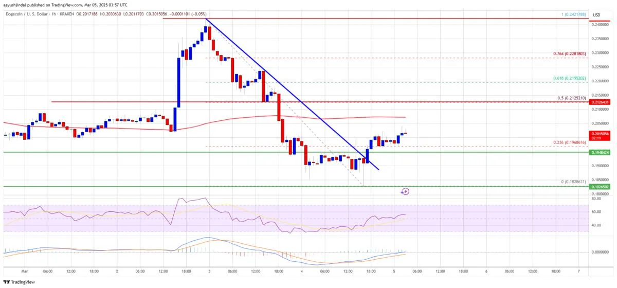 Dogecoin (DOGE) Attempts Rebound—Will Recovery Gain Momentum?