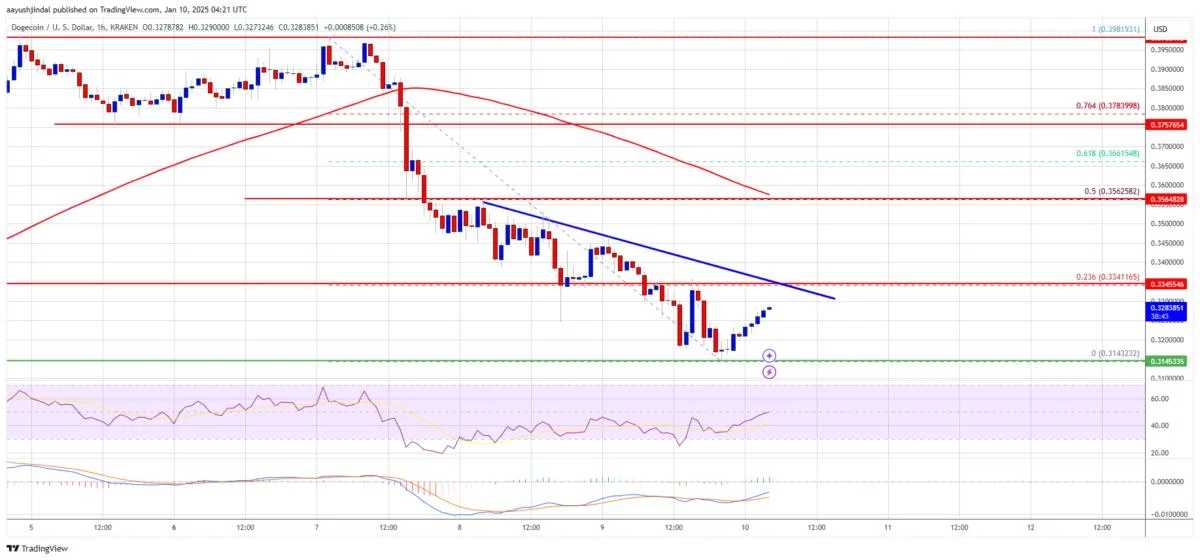 Dogecoin (DOGE) Dips: A Warning Sign or A Hidden Opportunity?