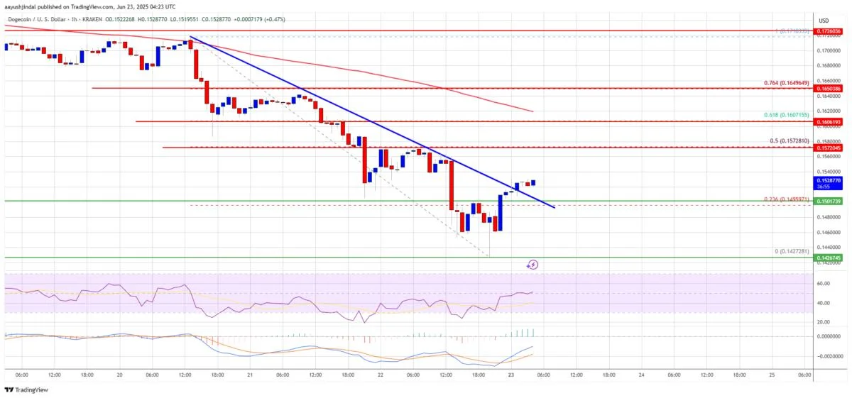 Dogecoin (DOGE) Eyes Upside After Crash, Yet Resistance Levels Cap Momentum