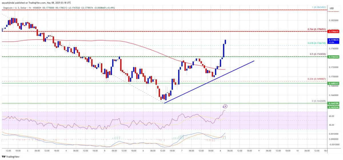 Dogecoin (DOGE) Flashes Bullish Signals—Is a Major Rally on the Horizon?