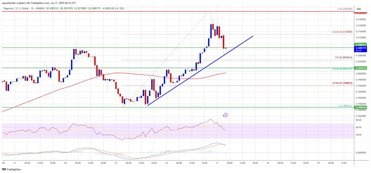 Dogecoin (DOGE) Struggles to Wake Up While Floki Rockets Higher