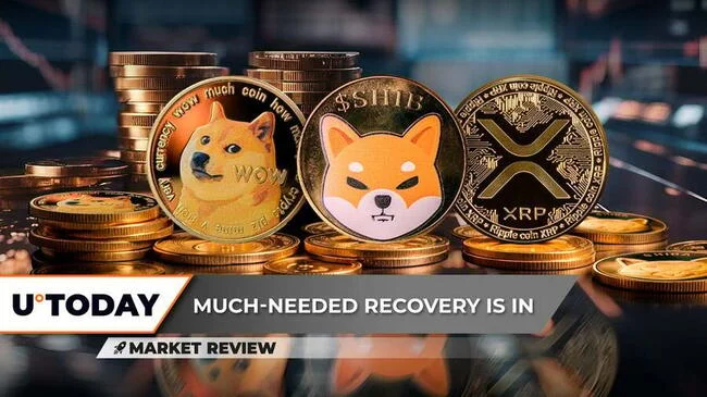 Dogecoin (DOGE) To Remove Zero, Shiba Inu (SHIB) Is Not Looking Healthy, XRP Catastrophe Avoided, Here's How