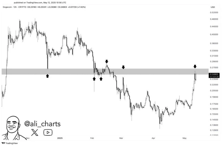 Dogecoin Hits Critical Zone—Here’s What 3 Leading Analysts Are Watching
