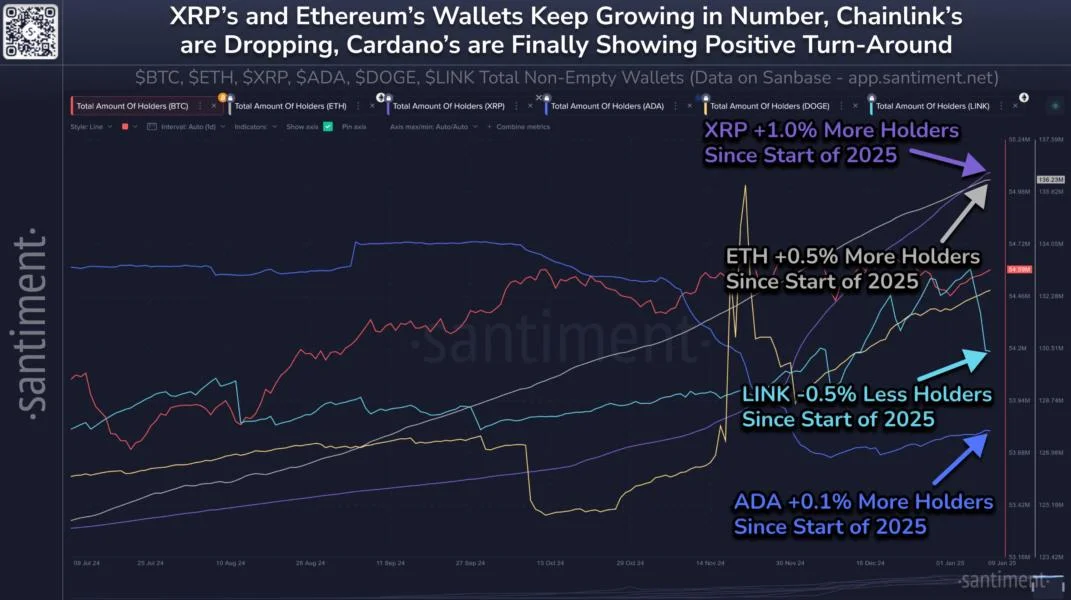 Dogecoin Hodlers Surge In 2025: Will Price Skyrocket Next?