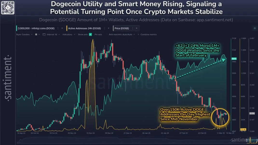  Dogecoin millionaires are buying dips as DOGE price eyes 30% rally 