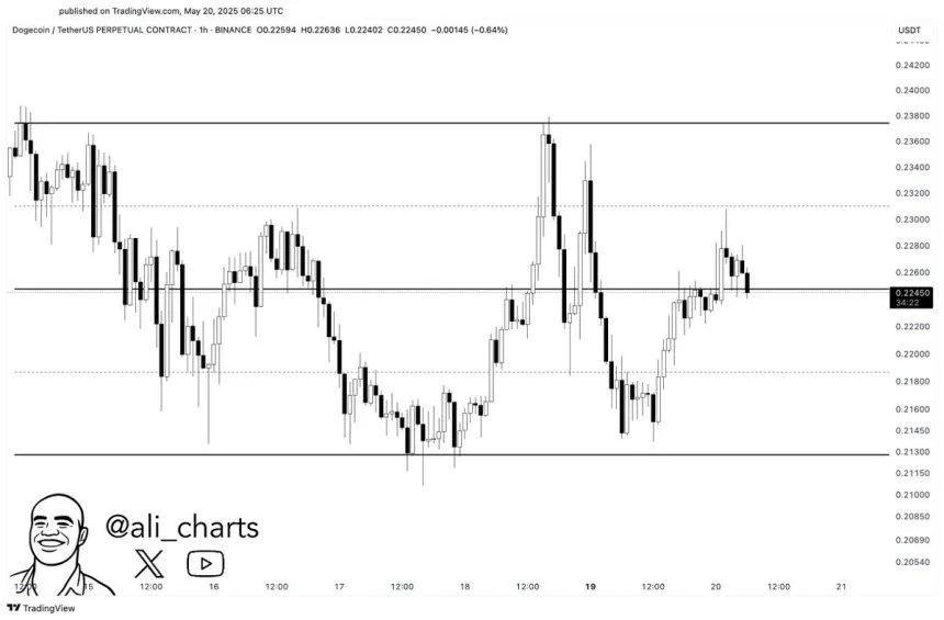 Dogecoin Momentum Fades – Analyst Expects $0.213 Retest