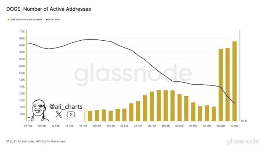 Dogecoin Network Activity Surges 47% In A Month – What’s Next for DOGE?