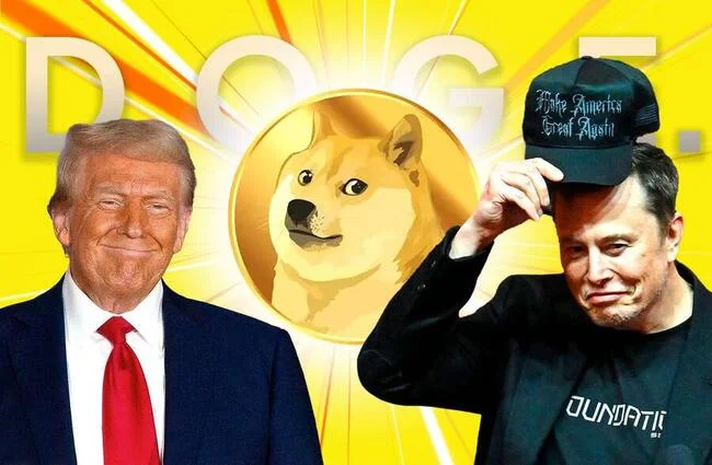 Dogecoin rallies 16% as Elon Musk savours Trump triumph and eyes White House role