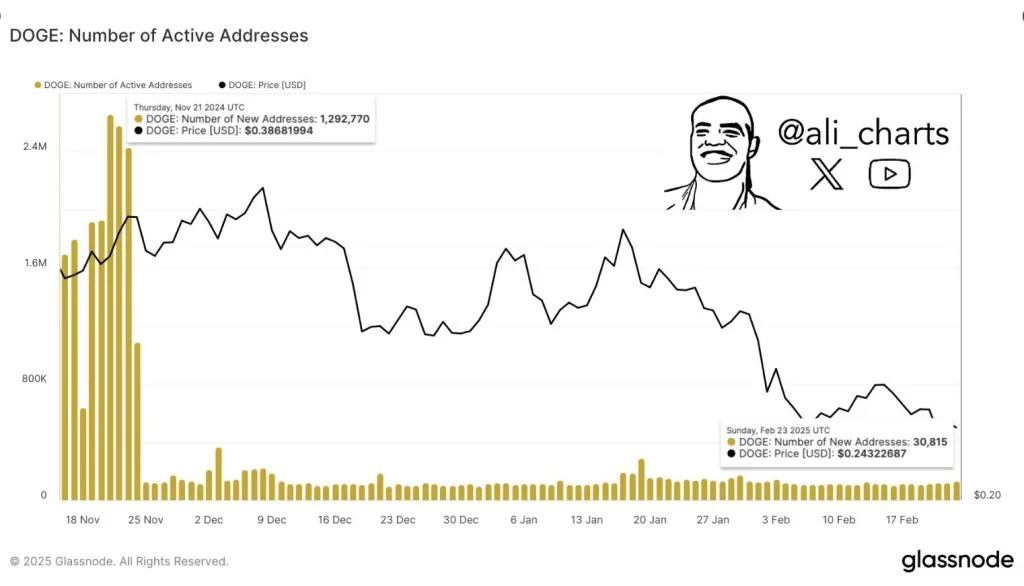 Dogecoin Sees 95% Drop In Network Activity—Trouble Ahead?