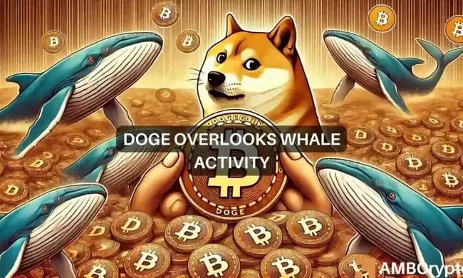 Dogecoin whale accumulation surges 868%: Will this help DOGE’s price?