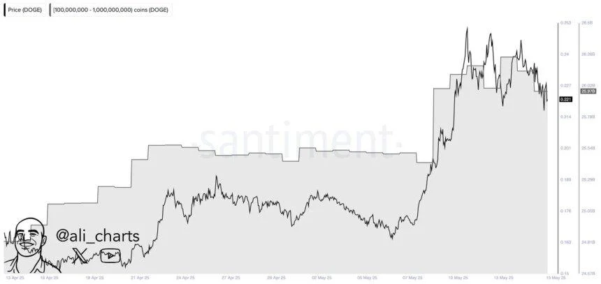 Dogecoin Whales Accumulate 1 Billion DOGE In A Month: Fueling Price Surge Speculation