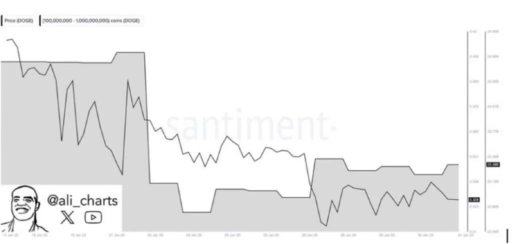 Dogecoin Whales Go Ham As They Buy 560 Million DOGE In One Week