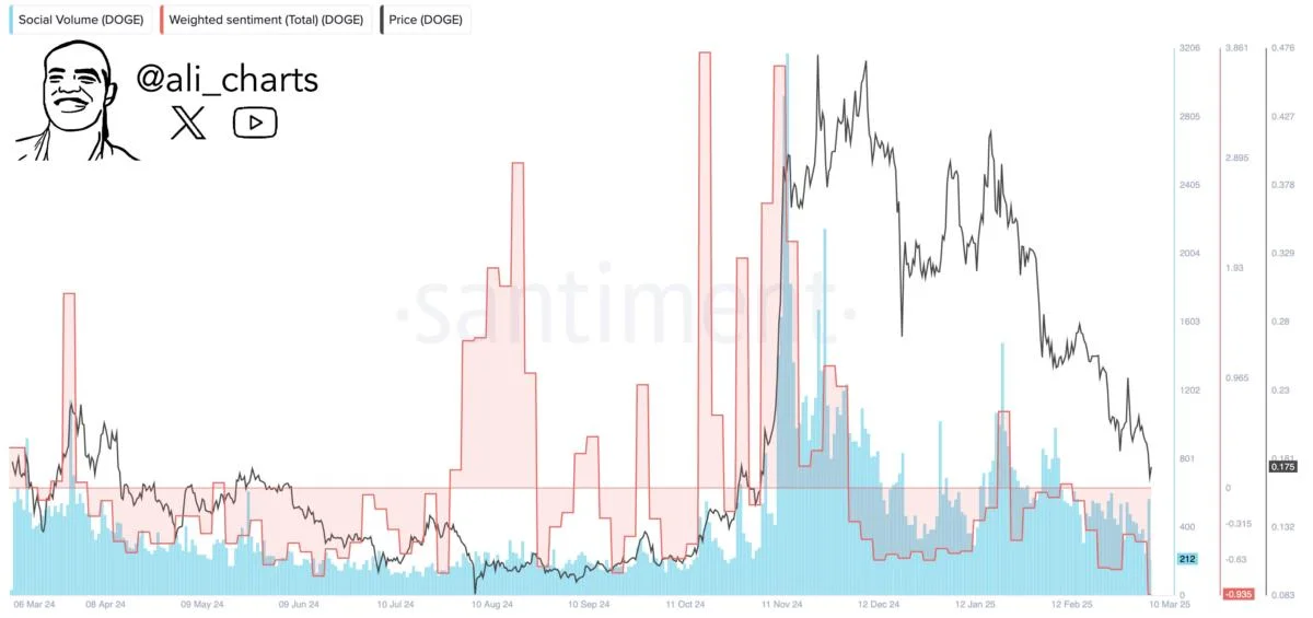 Dogecoin’s Darkest Hour? Sentiment Tanks, Whales Accumulate