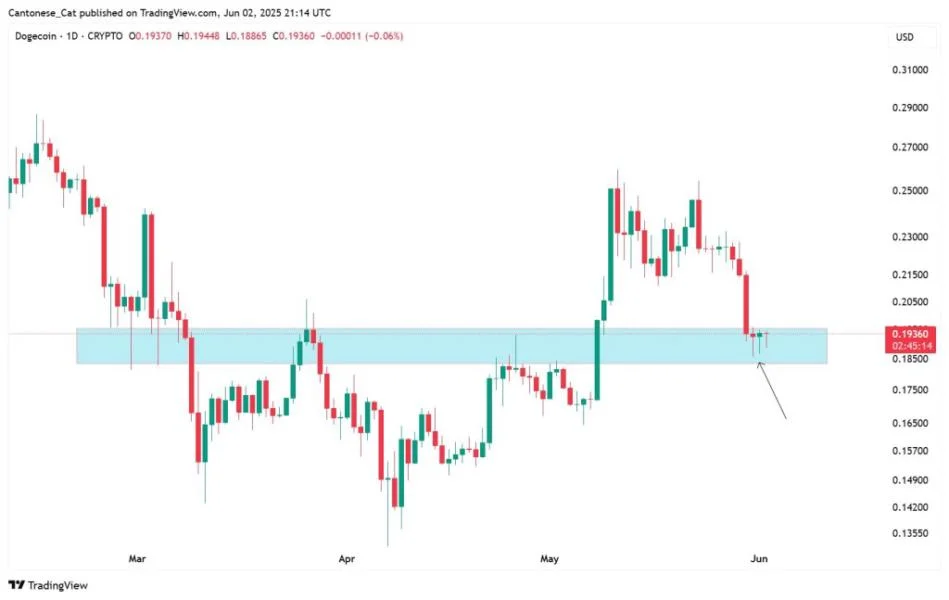 Dogecoin’s Fate Hinges On This Price Level, Analysts Agree