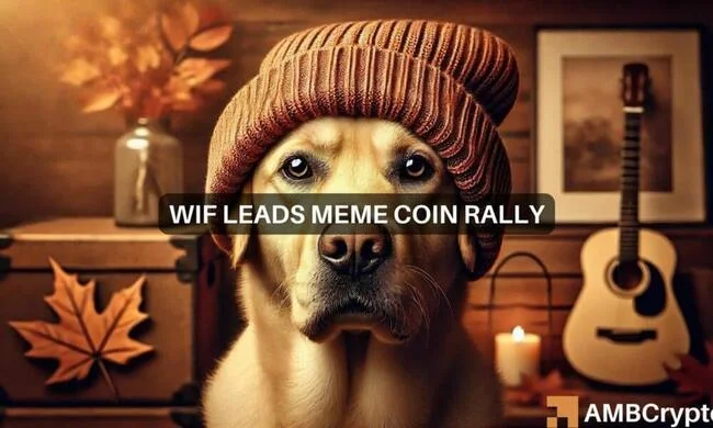 Dogwifhat sees 54% increase: A bullish signal for memecoins?