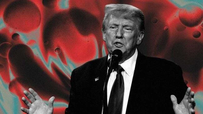 Donald Trump defeats Kamala Harris in a US presidential election that put crypto in the public eye