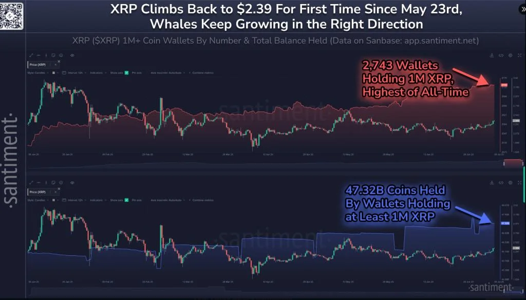 Don’t Hold Back—Expert Recommends Full Stake In XRP