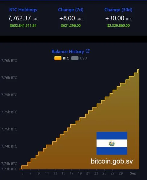 El Salvador Sticks With 'One Bitcoin a Day' Purchase: Has Nayib Bukele-Led Nation's Crypto Bet Paid Off?
