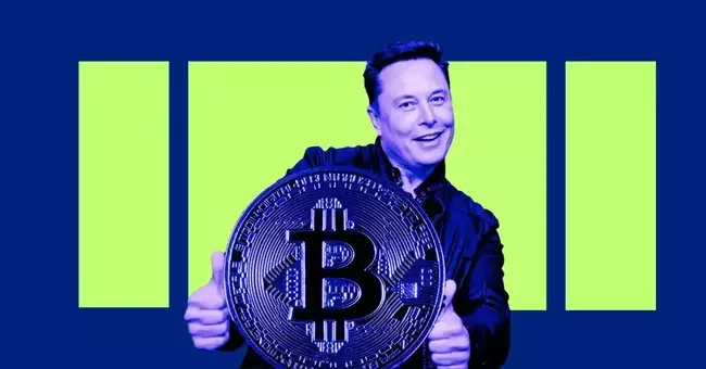 Elon Musk Warns U.S on Brink of Bankruptcy : Can Trump’s Bitcoin Reserve Plan Fix It?