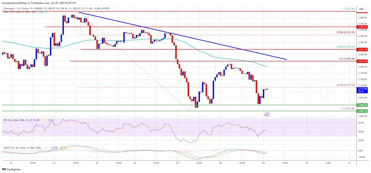 Ethereum Price Battle Persists: Can Bulls Turn It Around?