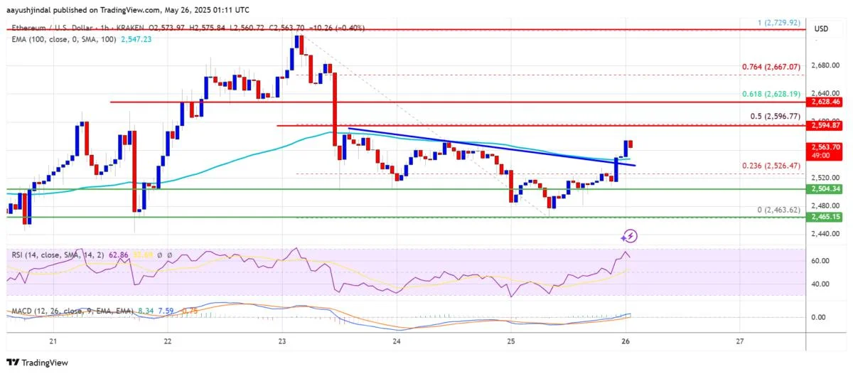 Ethereum Price Faces Pressure: Can It Sustain Its Recent Rally?