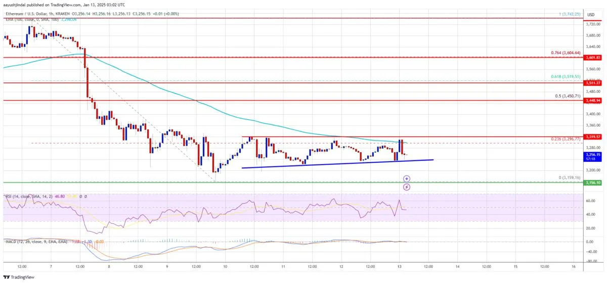 Ethereum Price Losses Steady: Is a Rebound Brewing?