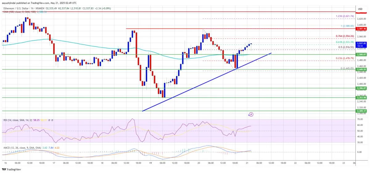 Ethereum Price Maintains Key Support — Is a Breakout Rally Brewing?