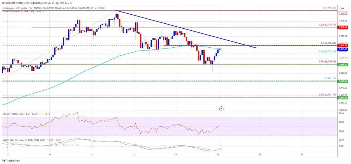 Ethereum Price Slips on Profit-Taking – Limited Downside as Whale Demand Holds