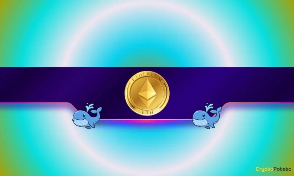 Ethereum Whales Accumulate Millions of Tokens: ETH Price Surge on the Way?