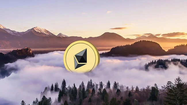 Ethereum Whales Accumulate Significant Holdings in the Market