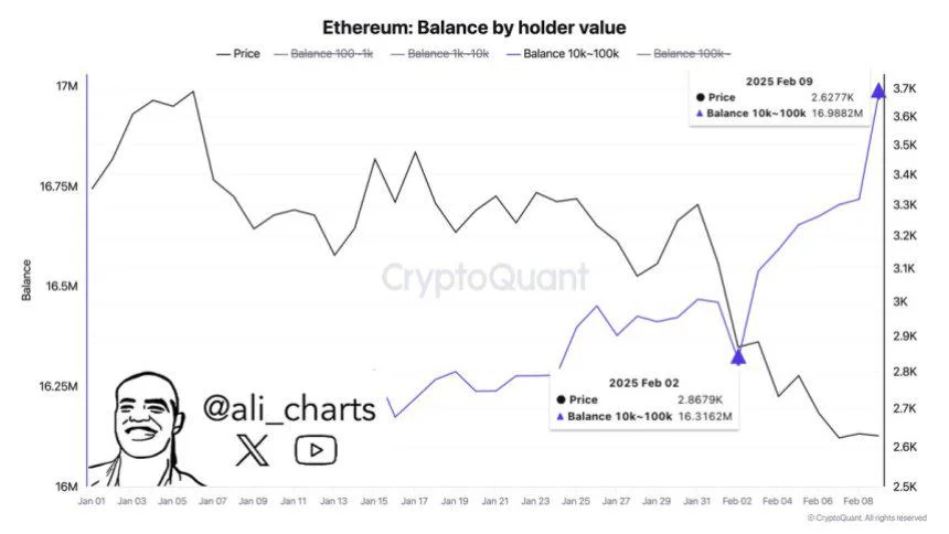 Ethereum Whales Have Bought Over 600,000 ETH In The Past Week – Time For A Price Upswing?