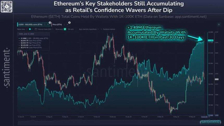 Ethereum Whales Ramp Up Accumulation By 1.50 Million ETH — Incoming Price Boom?