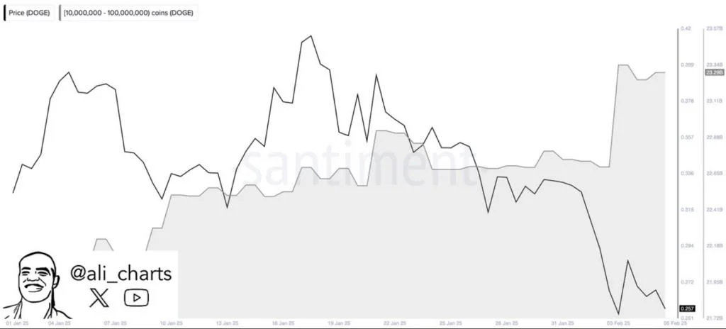 Final Dip? Dogecoin Correction Could Precede A Record Surge—Analyst