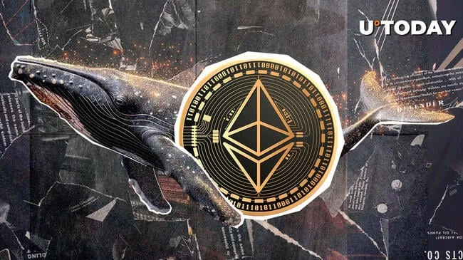 Giant $1.2 Billion Ethereum (ETH) Whale is Selling: Crash Incoming?