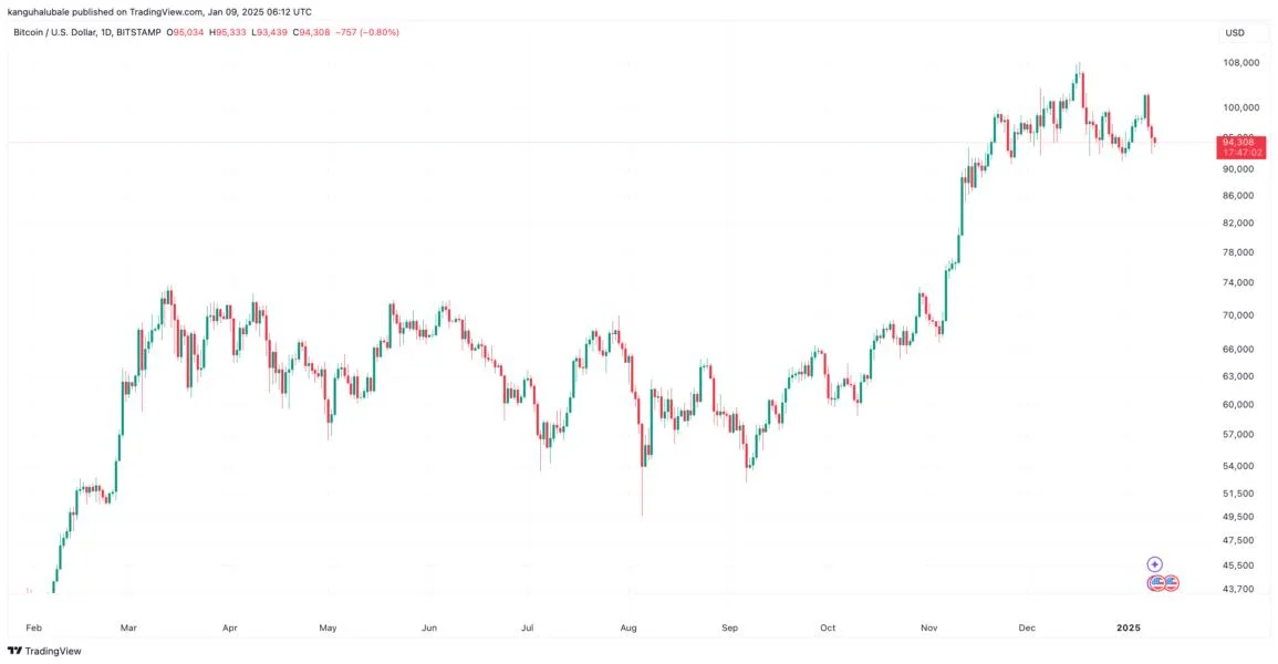 How low can the Bitcoin price go?