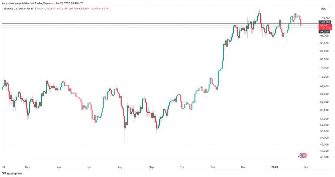 How low can the Bitcoin price go?