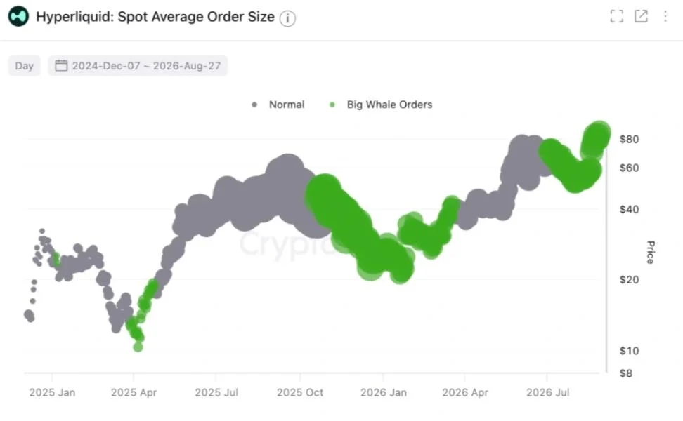 HYPE Price Explodes Higher: Whale Activity Hints at Another Leg Up