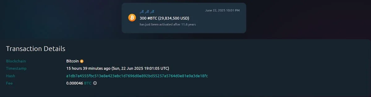 Investor makes nearly $30M from Bitcoin bought in 2013