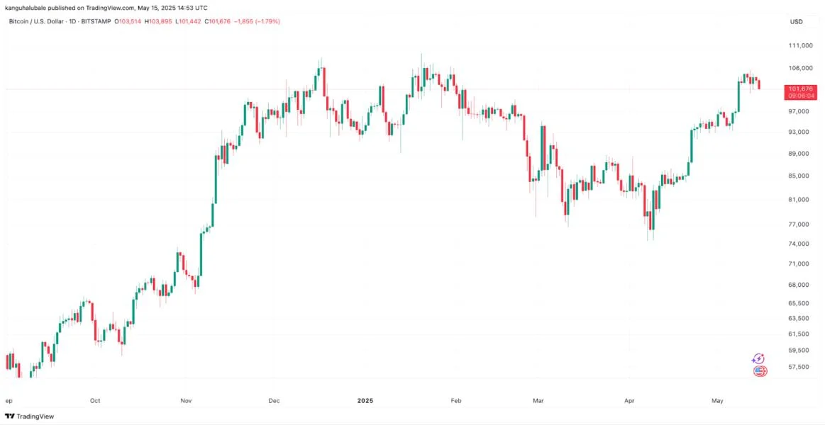 Is Bitcoin price going to crash again?