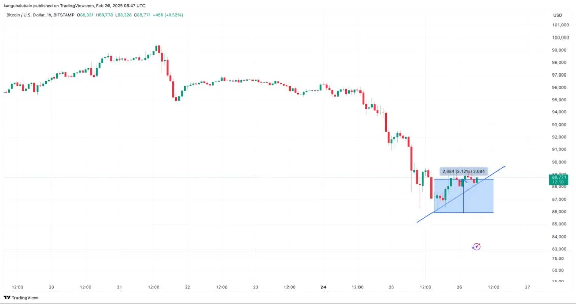 Is Bitcoin price going to crash again?