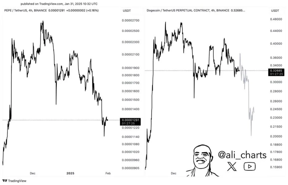 Is Dogecoin Mirroring Pepe? A Drop To $0.2 Could Be Imminent For DOGE