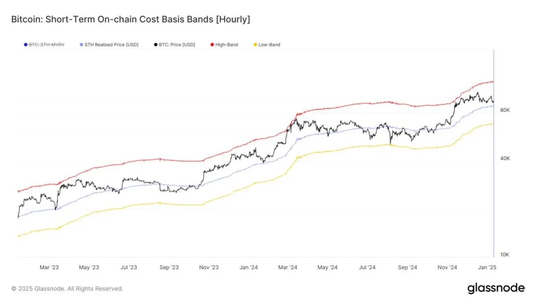 Is The Bitcoin Bull Market Still On? STH Cost Basis Suggests So