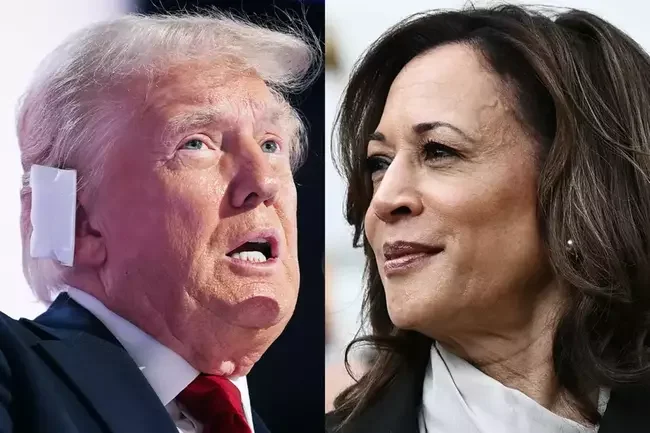 Kamala Harris beats Trump in all polls – except the crypto industry’s