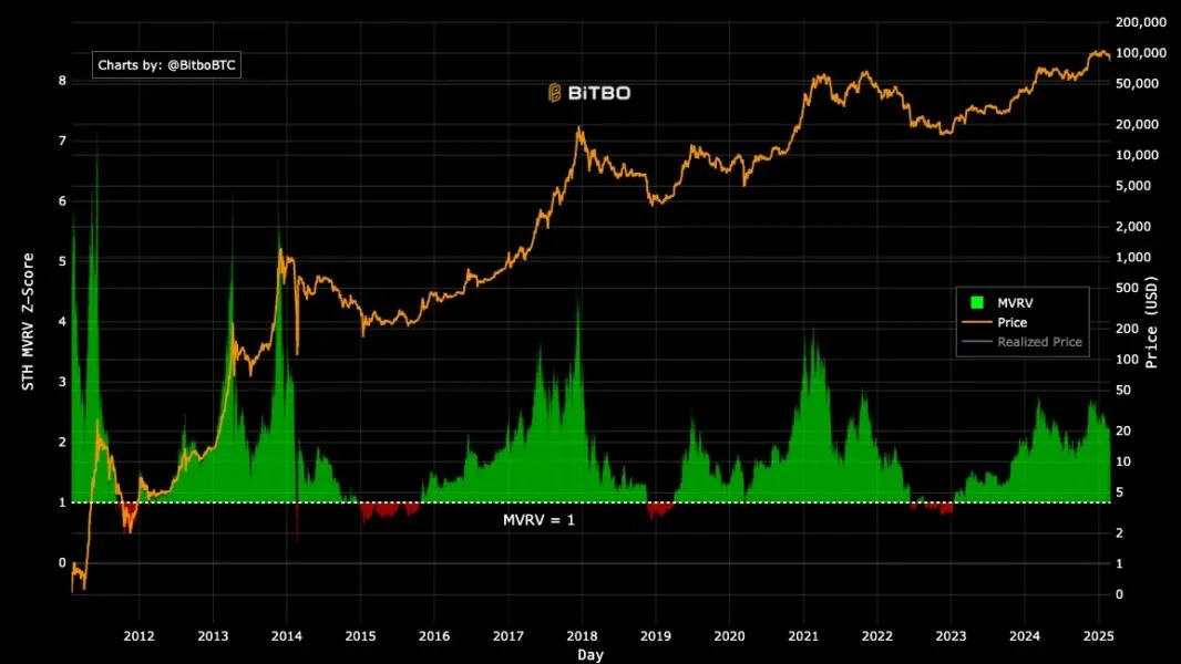 Key metric shows Bitcoin hasn’t peaked, has bullish year ahead: Analyst