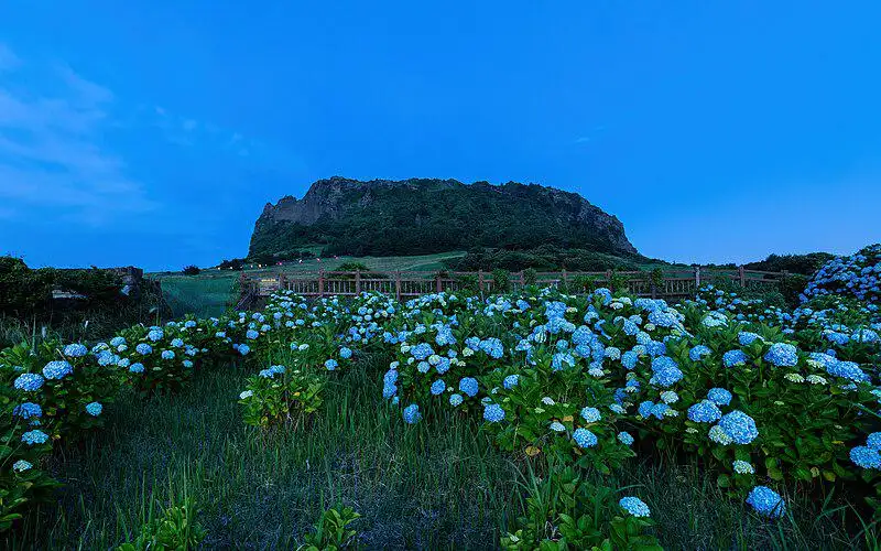 Korea’s Jeju to issue NFT tourist cards to boost Gen Z visitors: Report