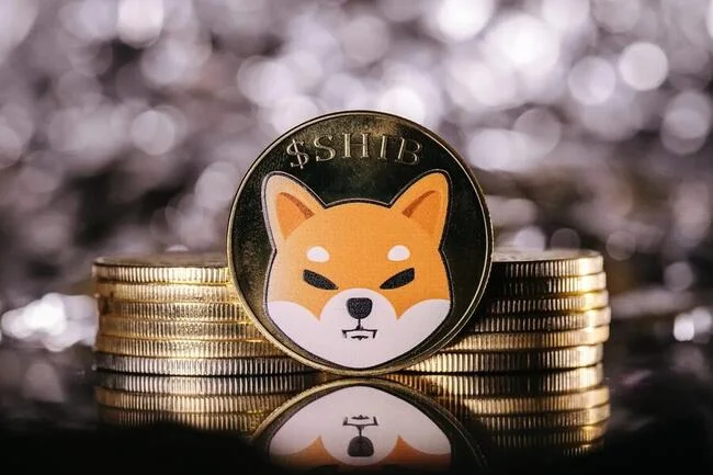 Kusama’s Blockchain Plan for Trump: A Game-Changer for Shiba Inu Price?