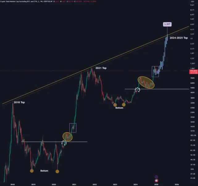 Last Dip For Altcoins? Expert Predicts Final Correction Before Bull Market Resurgence