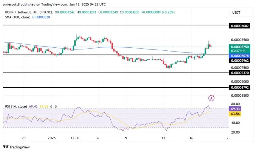 Meme Coin BONK Faces Price Correction: Can Bulls Regain Control?