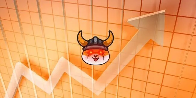 Meme Coin FLOKI Gets Listed on Top Exchange Amid Market Decline